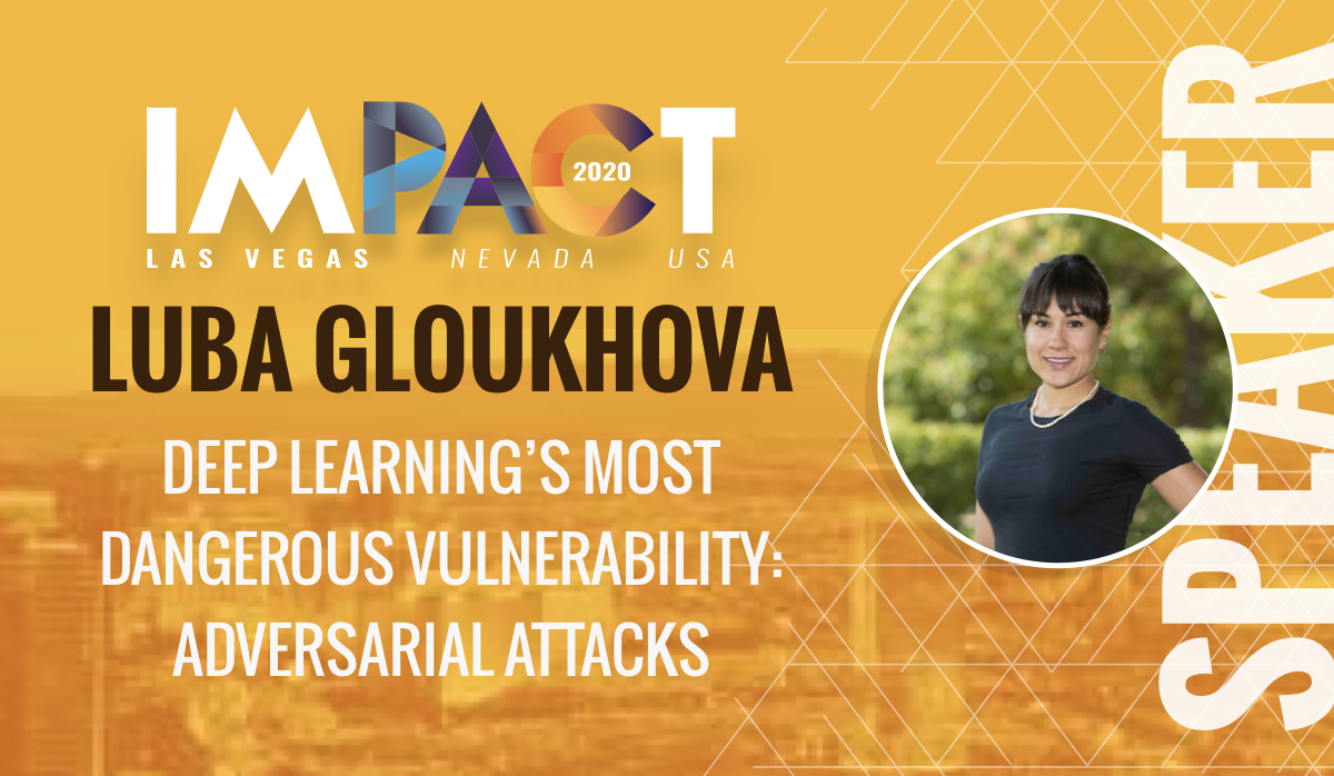 Deep Learning’s Most Dangerous Vulnerability: Adversarial Attacks - Luba Gloukhova